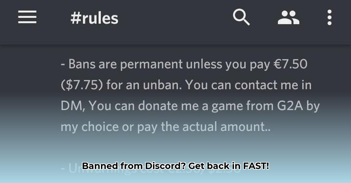 get-unbanned-from-a-discord-server